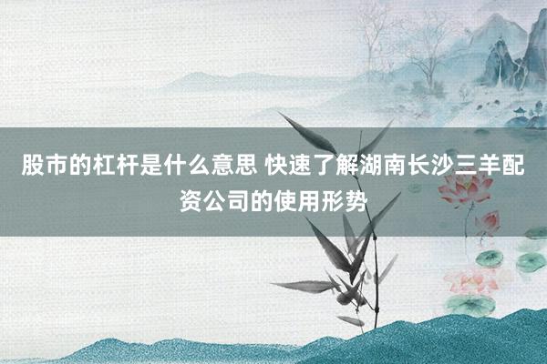 股市的杠杆是什么意思 快速了解湖南长沙三羊配资公司的使用形势