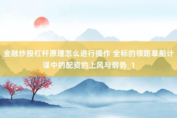 金融炒股杠杆原理怎么进行操作 全标的领路草船计谋中的配资的上风与弱势_1