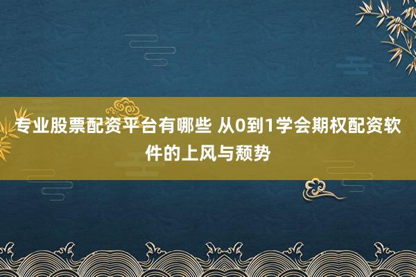 专业股票配资平台有哪些 从0到1学会期权配资软件的上风与颓势